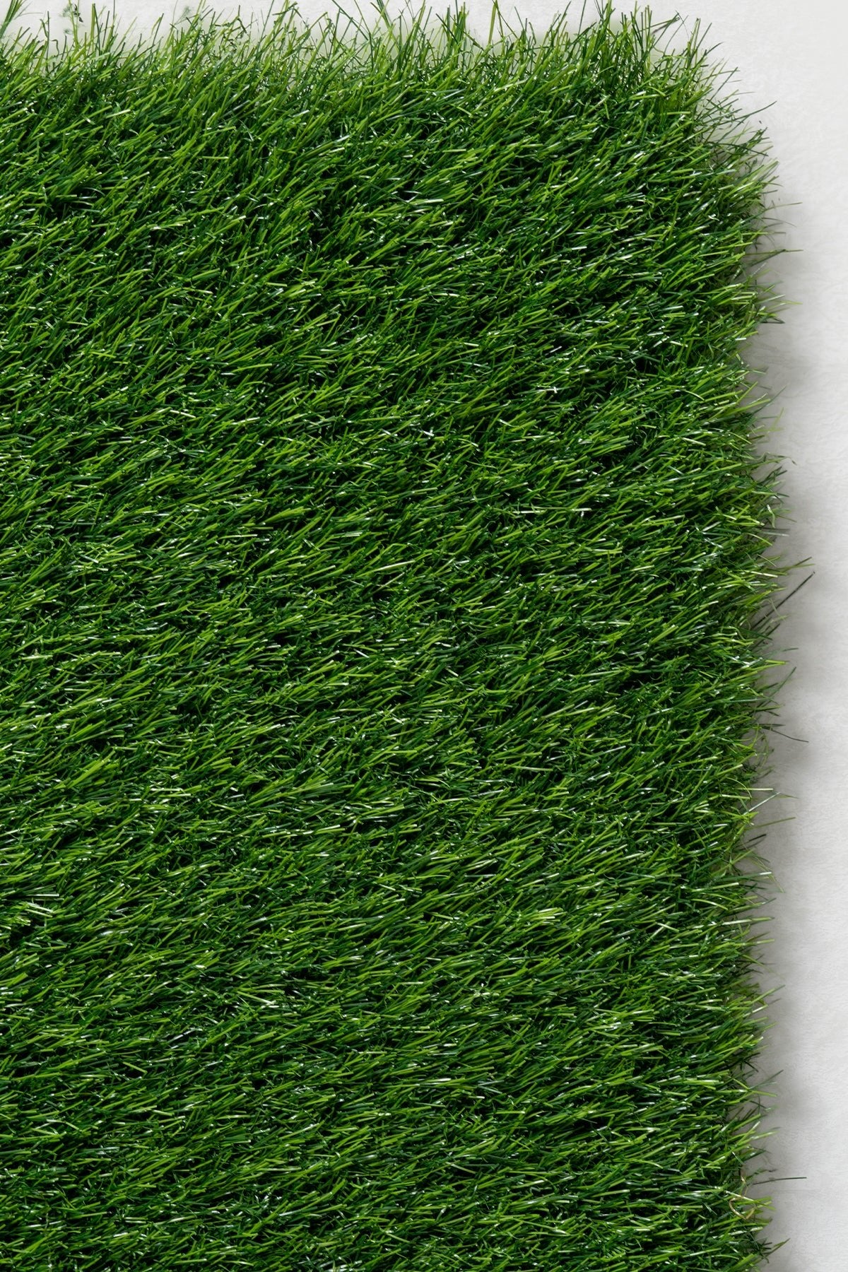 Sisal Garden G - 100 50 MM Yapay Çim Halı | Sisalart - Sisal Halı