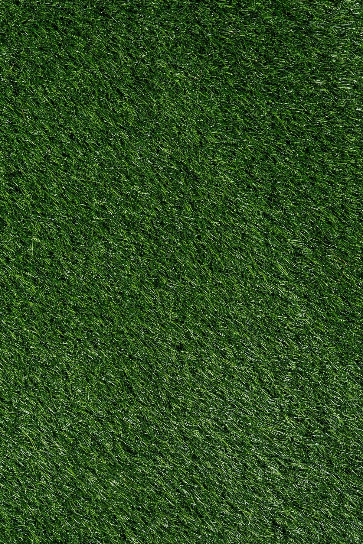Sisal Garden G - 101 40 MM Yapay Çim Halı | Sisalart - Sisal Halı